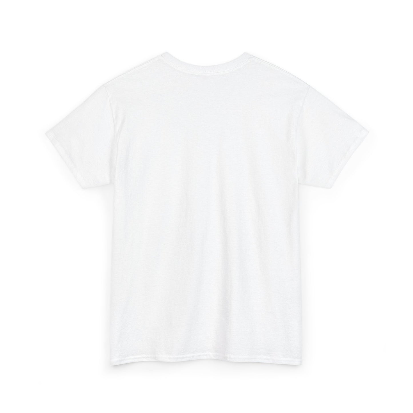 Unisex Heavy Cotton Tee, Casual Wear, Sports Tee,