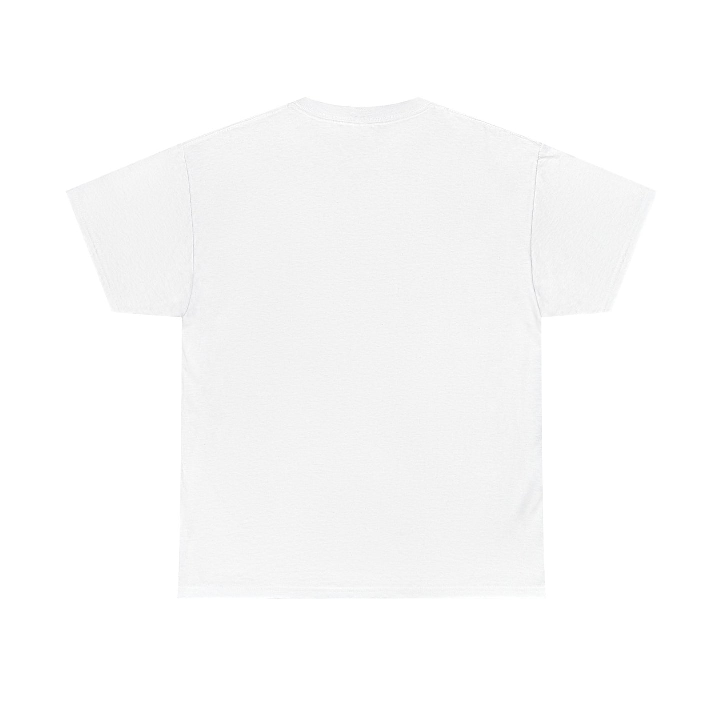 Unisex Heavy Cotton Tee, Casual Wear, Sports Tee,
