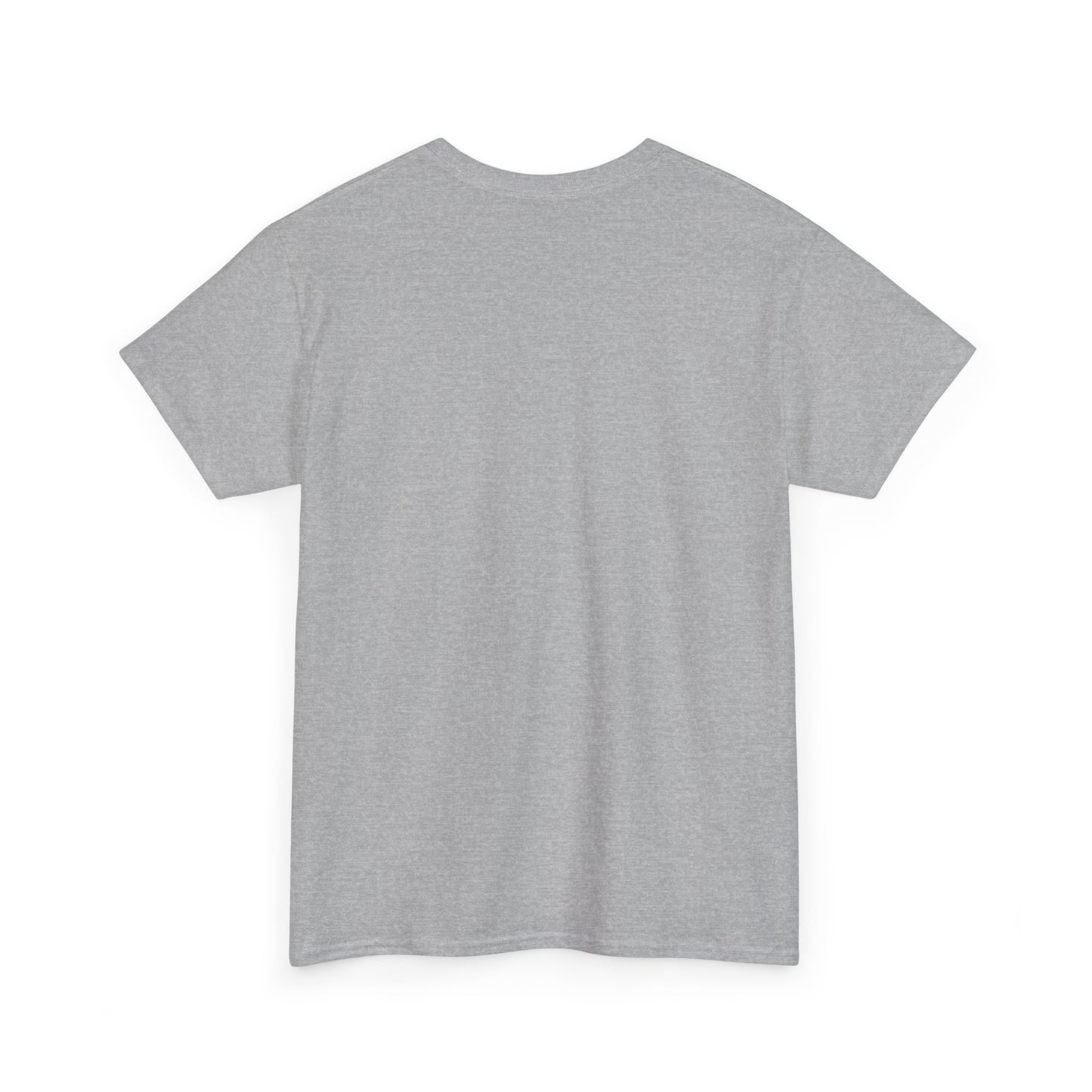 Unisex Heavy Cotton Tee, Casual Wear, Sports Tee,