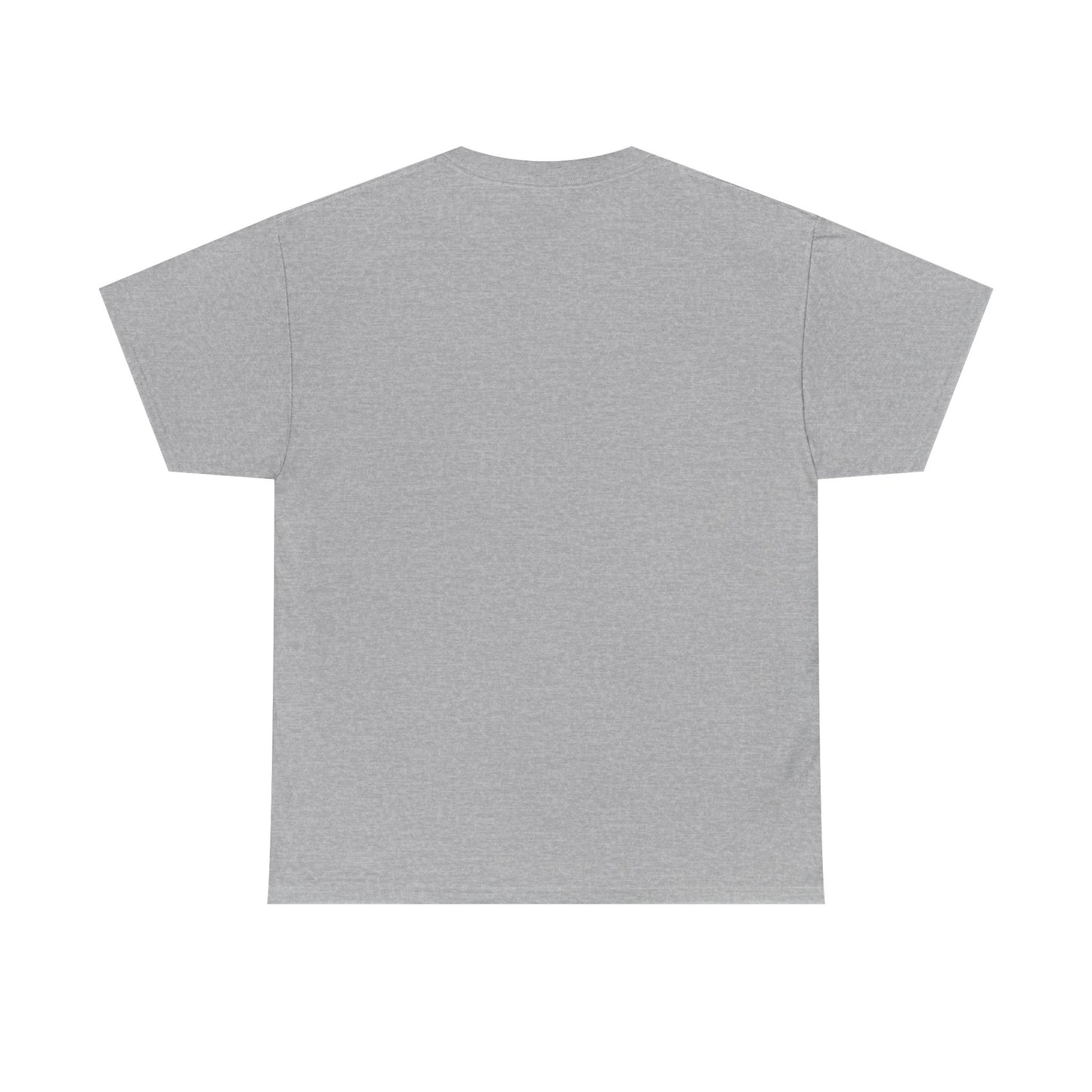 Unisex Heavy Cotton Tee, Casual Wear, Sports Tee,
