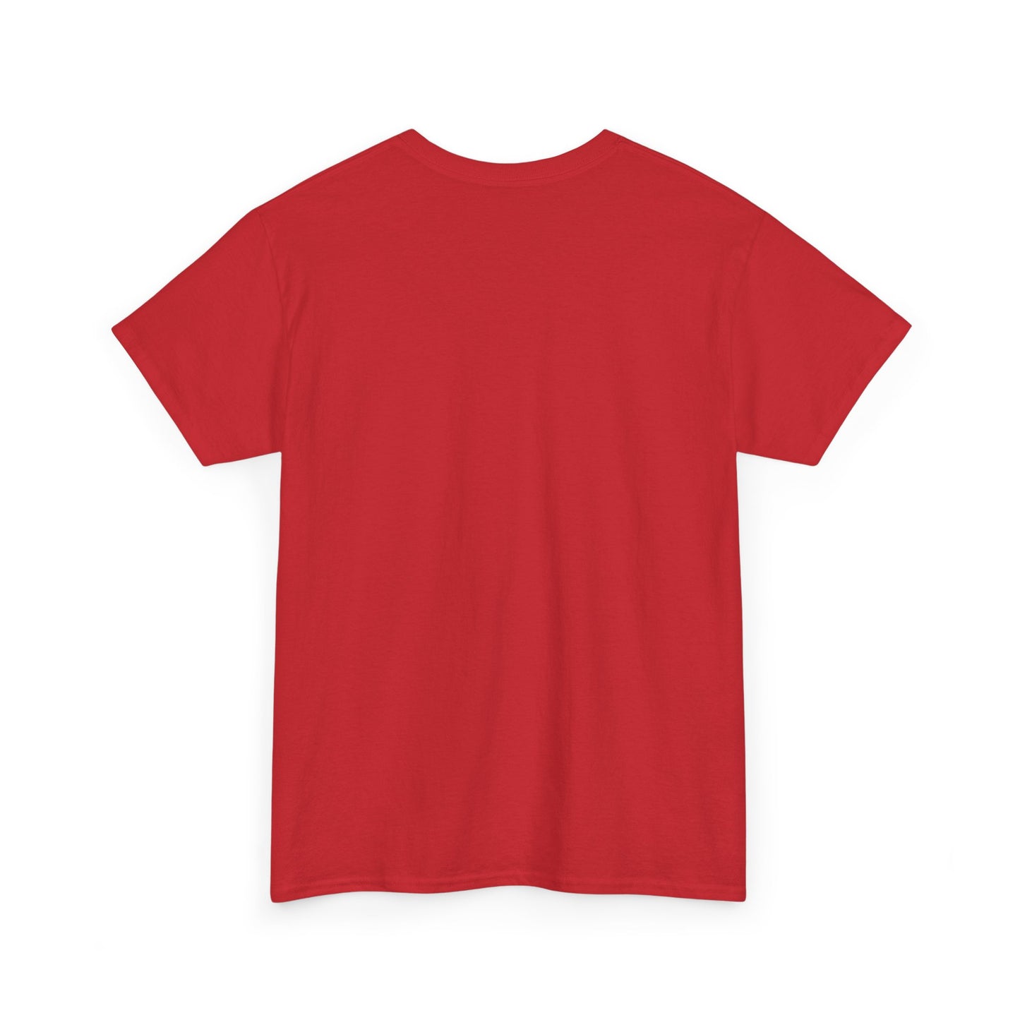 Unisex Heavy Cotton Tee, Casual Wear, Sports Tee,
