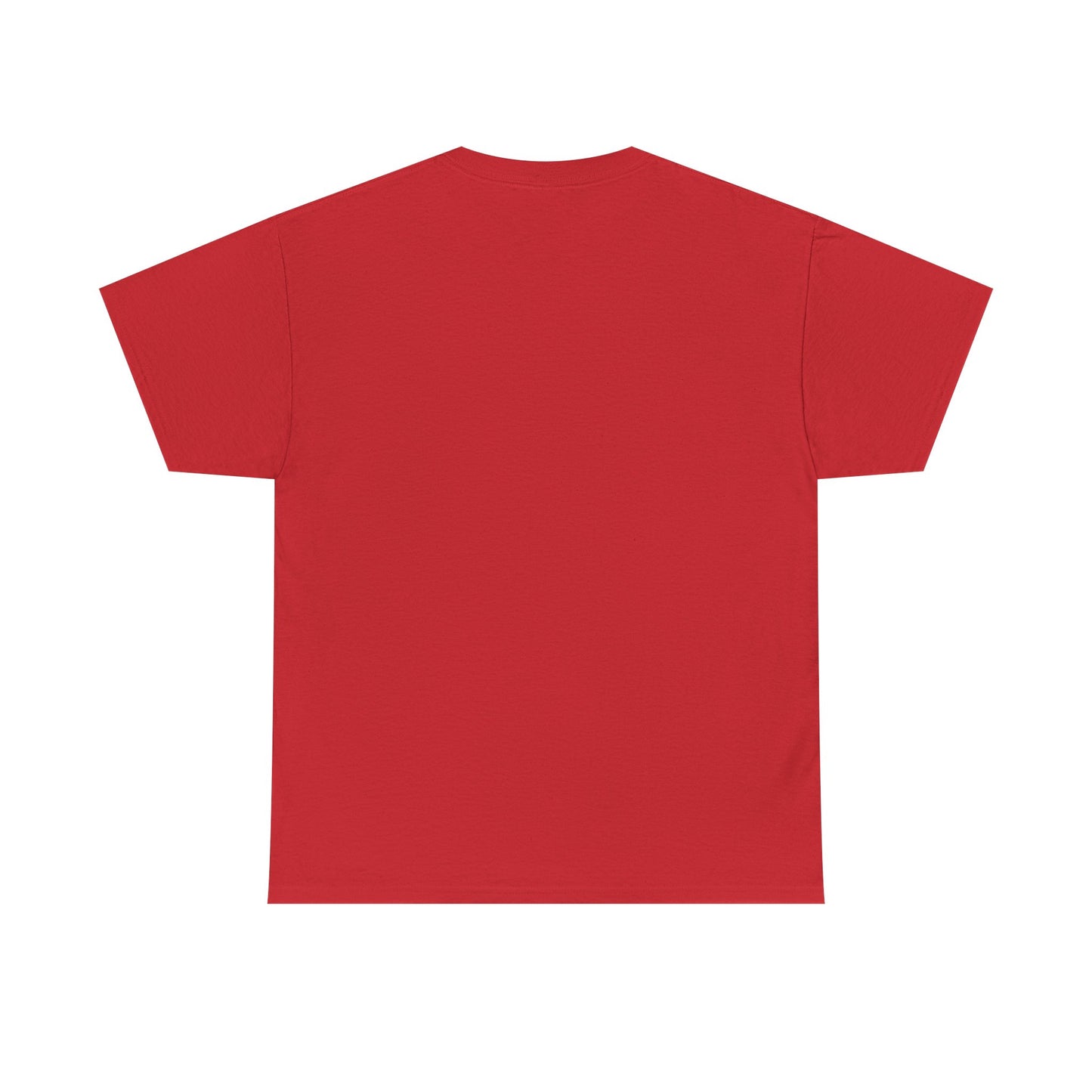 Unisex Heavy Cotton Tee, Casual Wear, Sports Tee,
